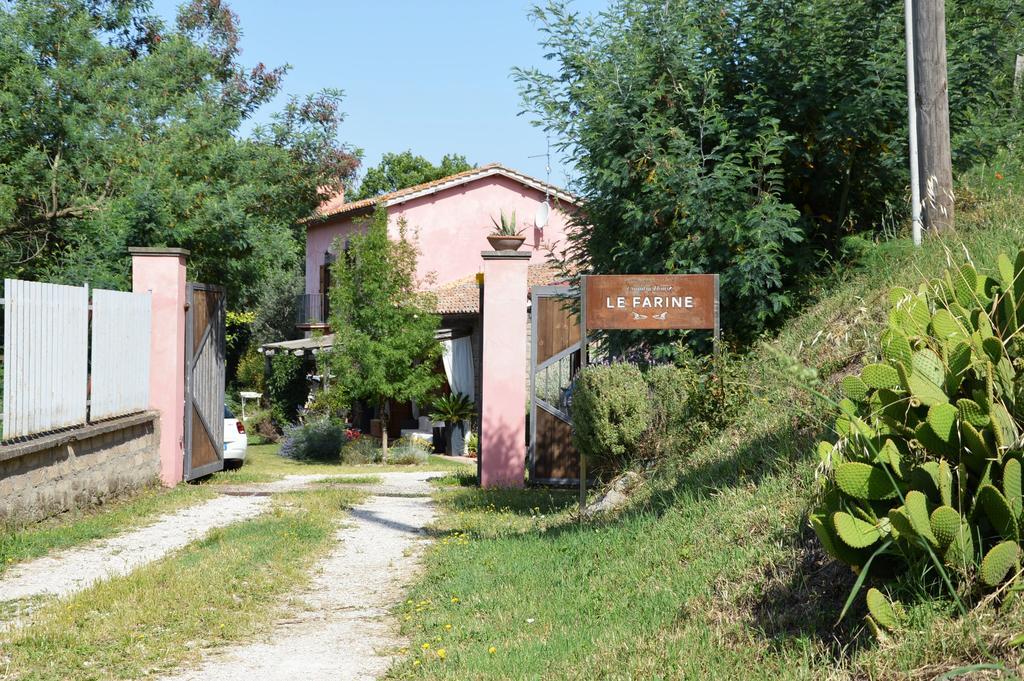 Il Casale Alle Farine Viterbo Exteriér fotografie