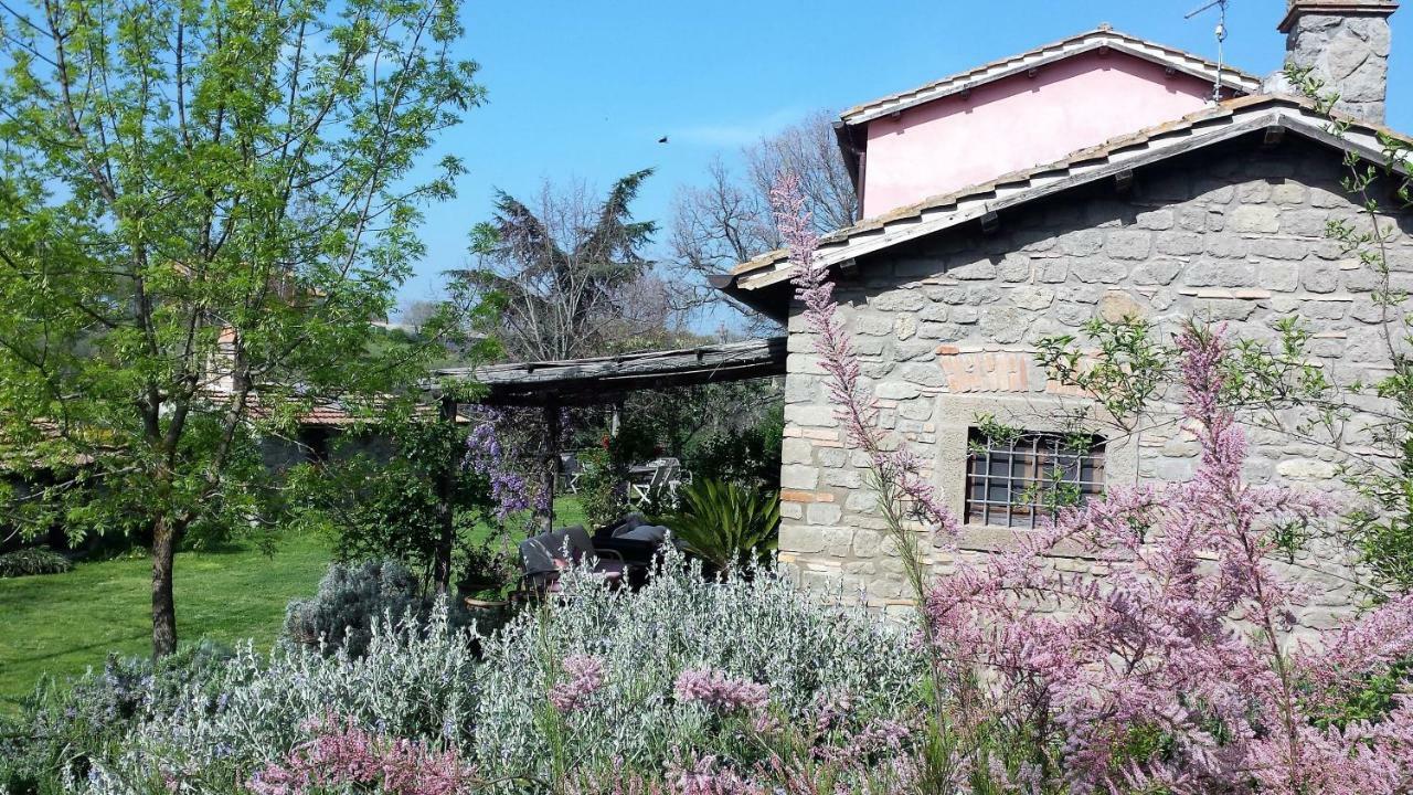 Il Casale Alle Farine Viterbo Exteriér fotografie